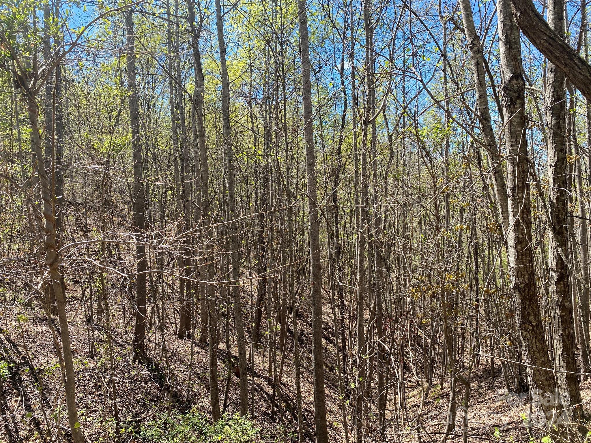 Lot at Lots 8,9 Wild Horse Drive, Nebo, photo 15 of 21