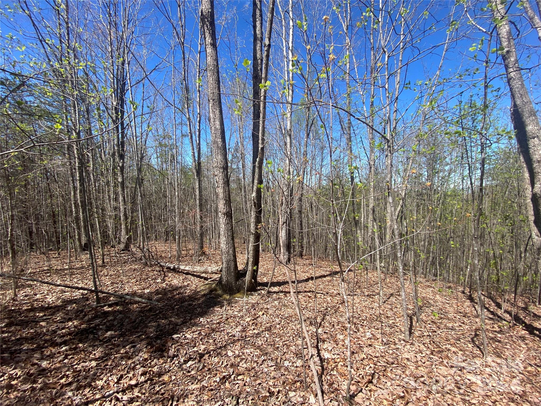 Lot at Lots 8,9 Wild Horse Drive, Nebo, photo 16 of 21