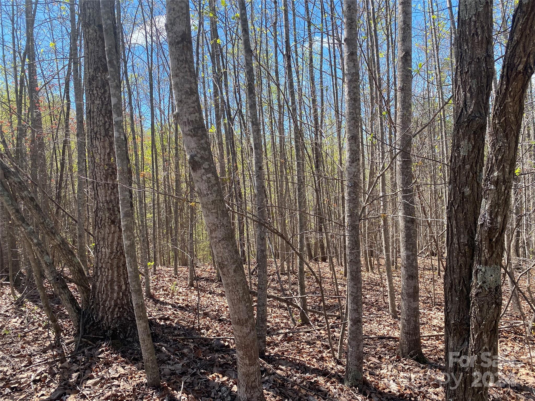 Lot at Lots 8,9 Wild Horse Drive, Nebo, photo 17 of 21