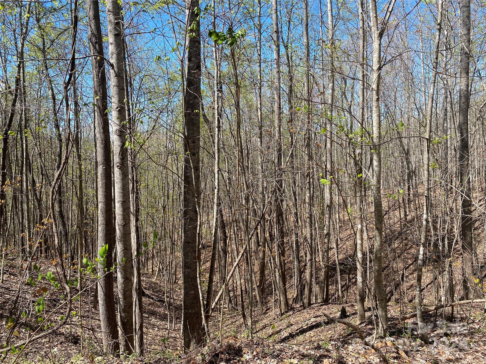 Lot at Lots 8,9 Wild Horse Drive, Nebo, photo 18 of 21