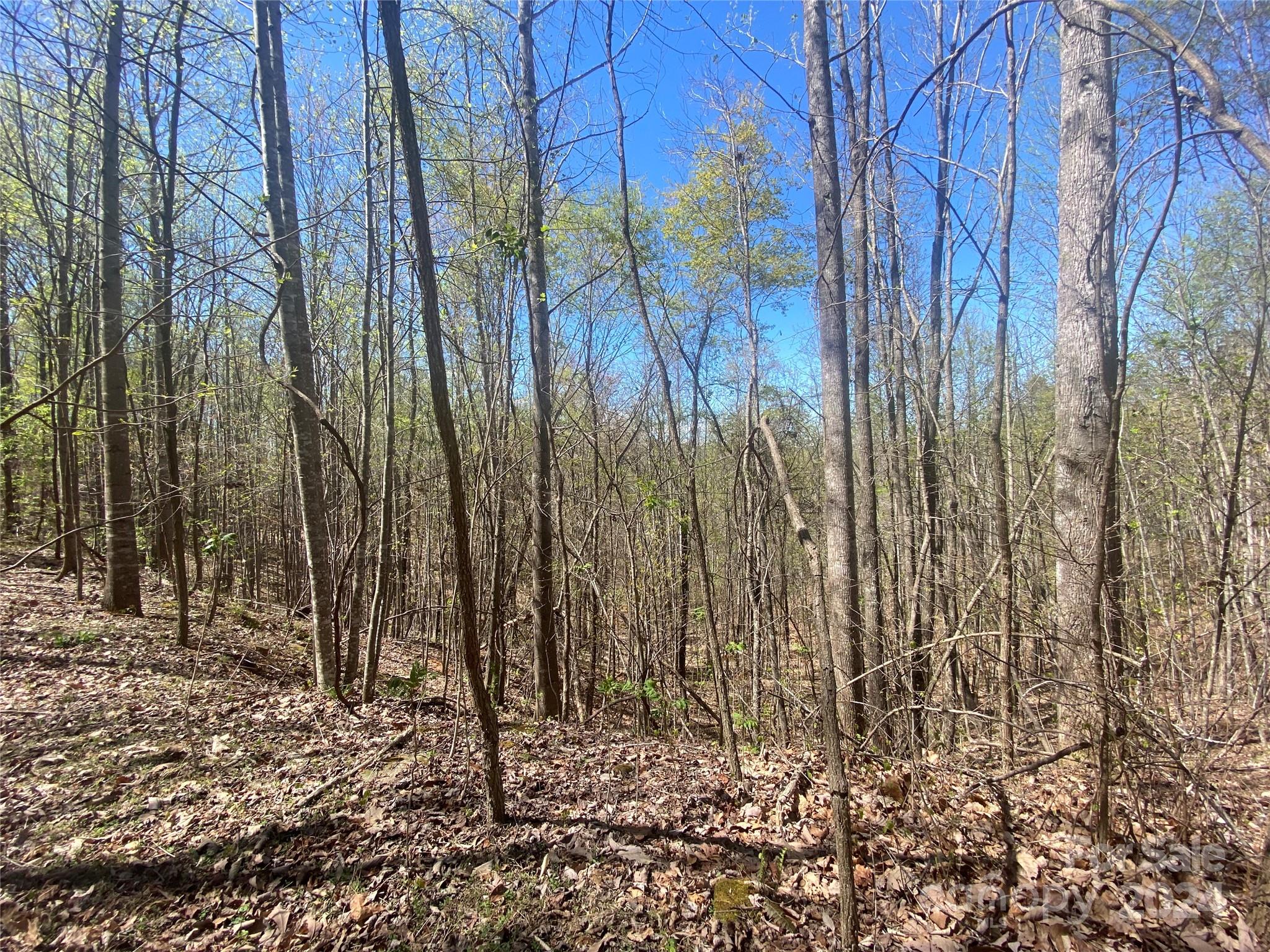 Lot at Lots 8,9 Wild Horse Drive, Nebo, photo 19 of 21