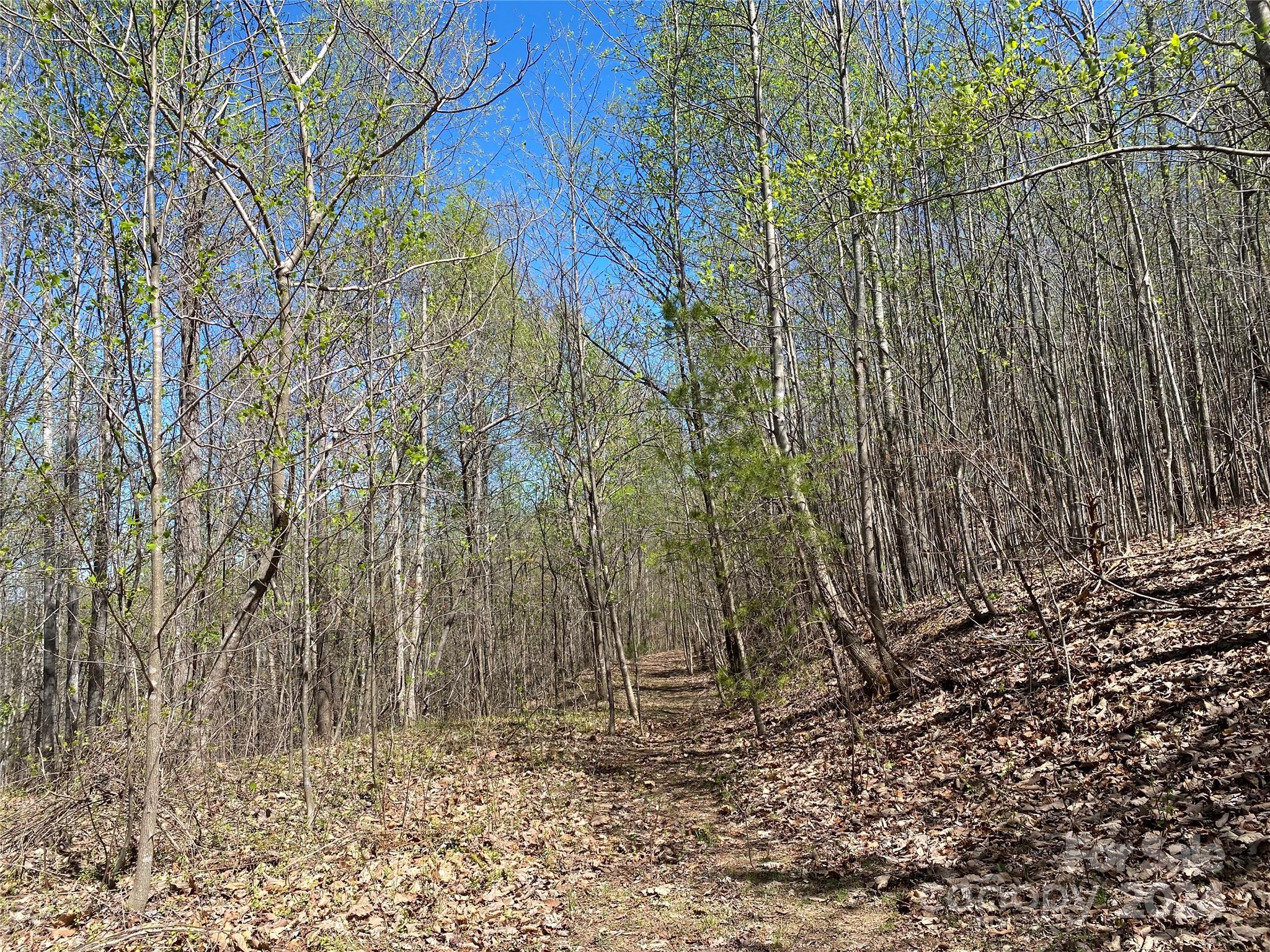 Lot at Lots 8,9 Wild Horse Drive, Nebo, photo 20 of 21
