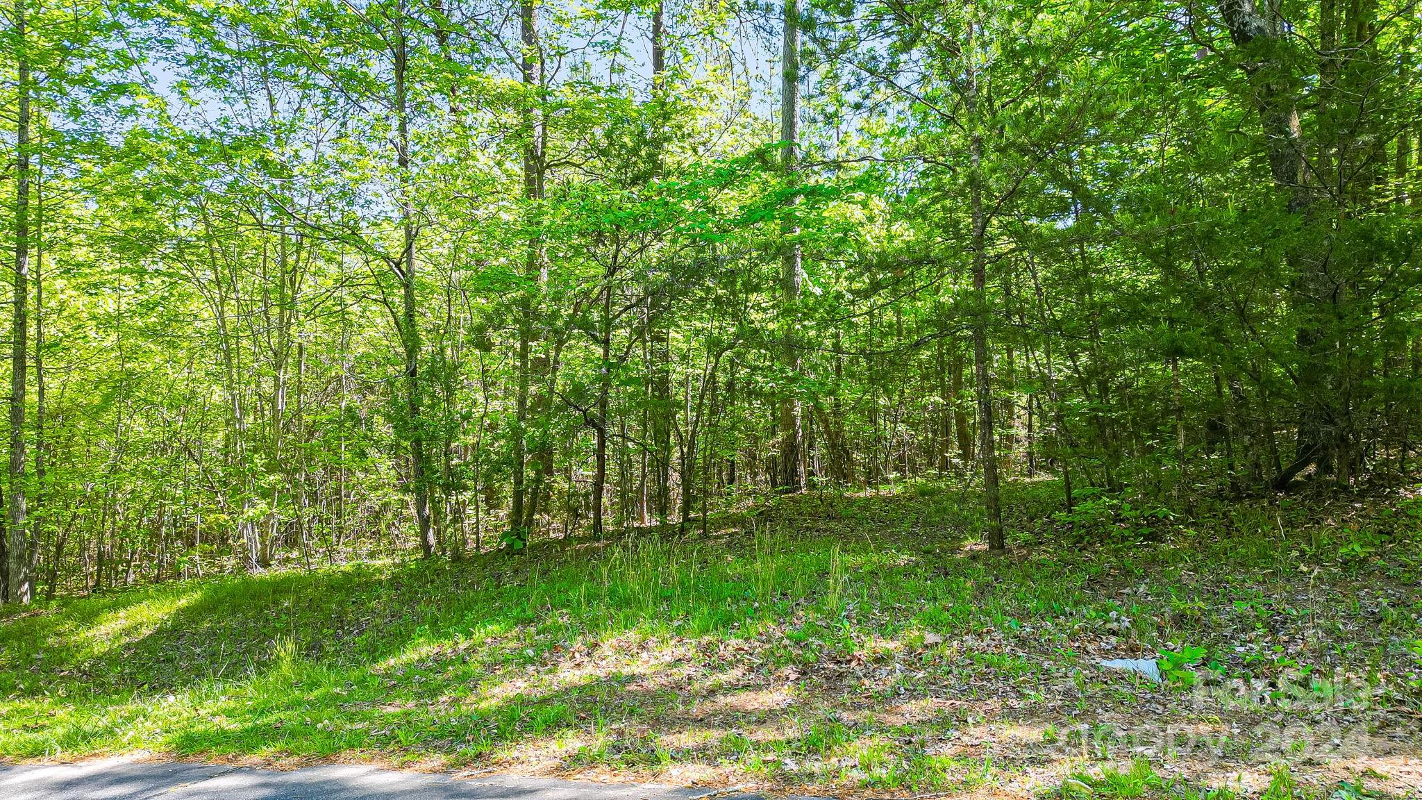 Lot at 0 W T Wilkins Road, Rutherfordton, photo 2 of 24