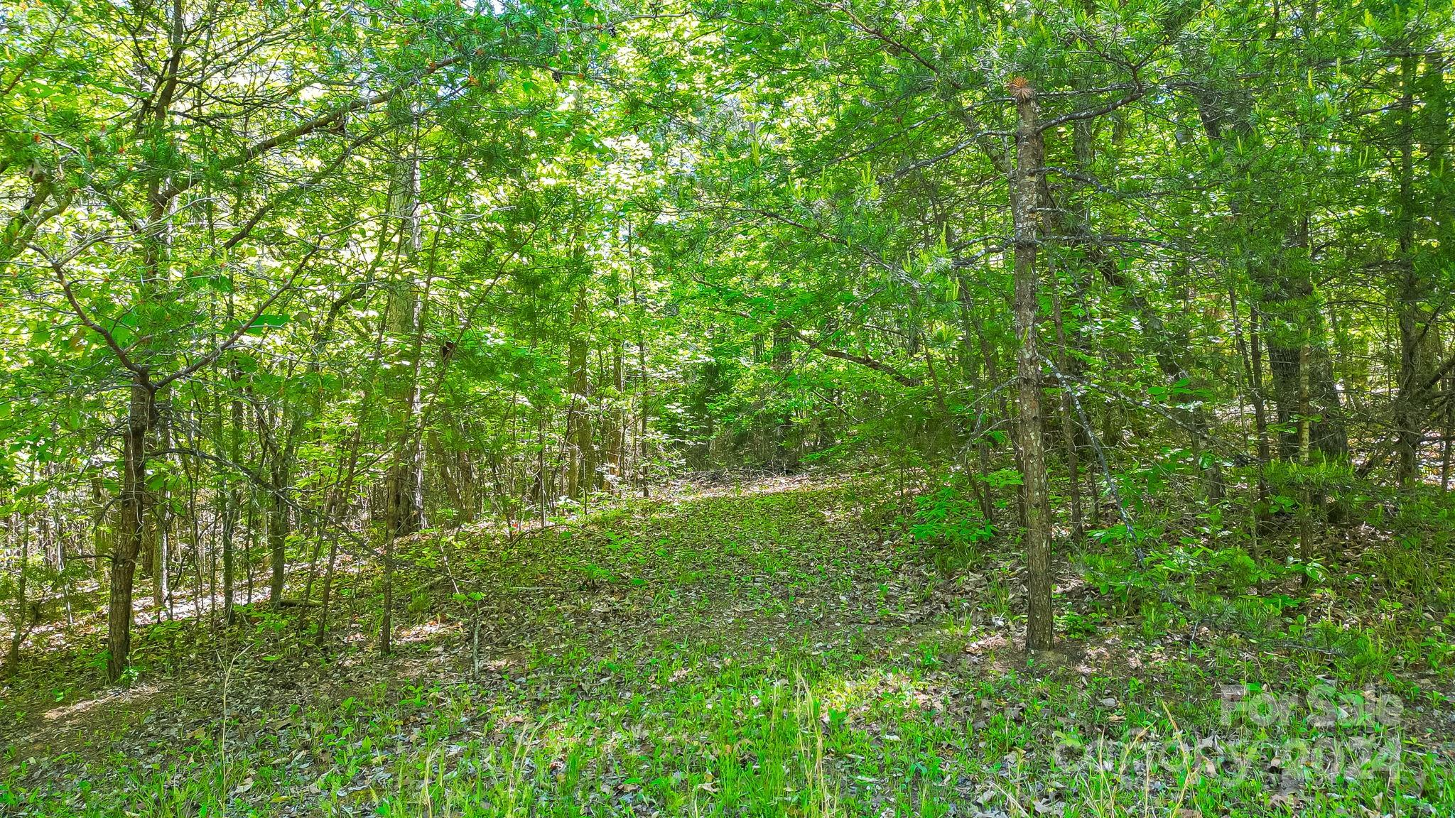 Lot at 0 W T Wilkins Road, Rutherfordton, photo 3 of 24