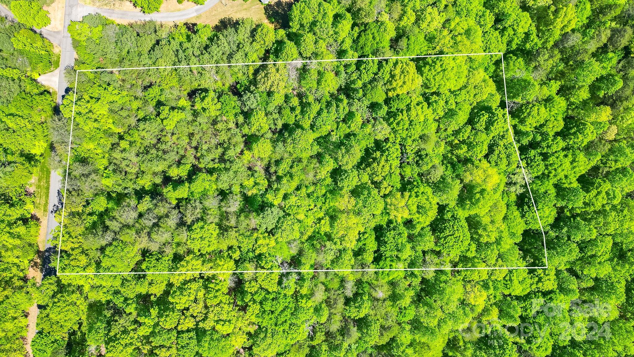 Lot at 0 W T Wilkins Road, Rutherfordton, photo 5 of 24