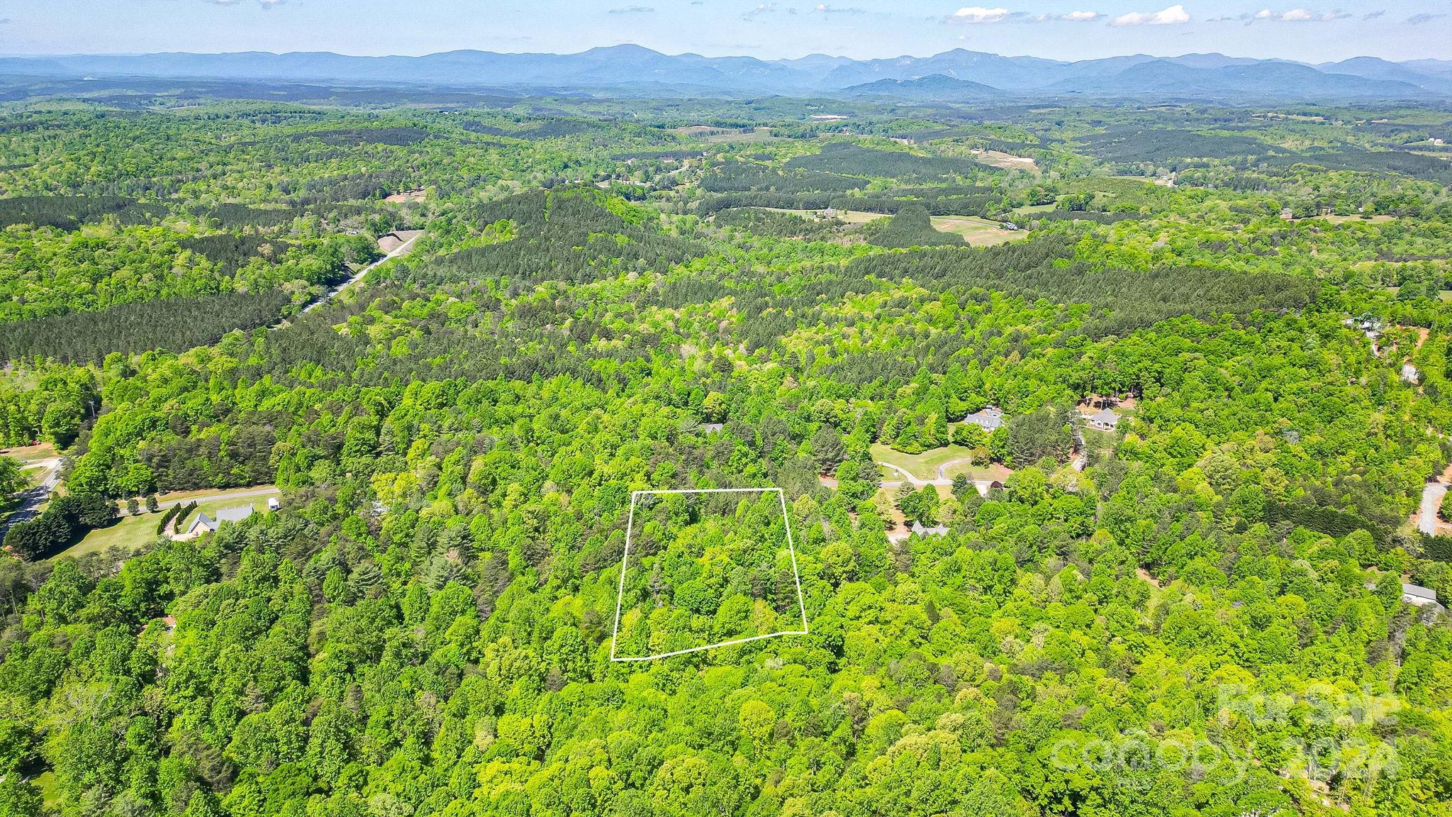 Lot at 0 W T Wilkins Road, Rutherfordton, photo 7 of 24