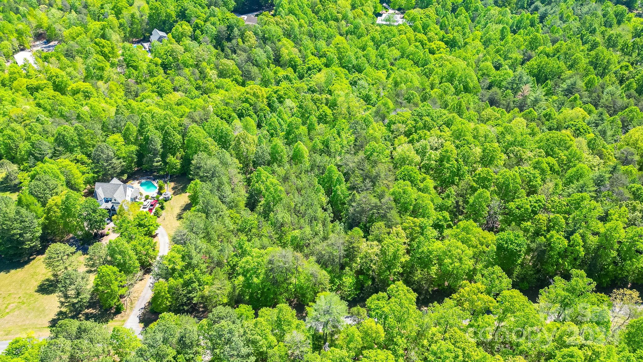 Lot at 0 W T Wilkins Road, Rutherfordton, photo 8 of 24