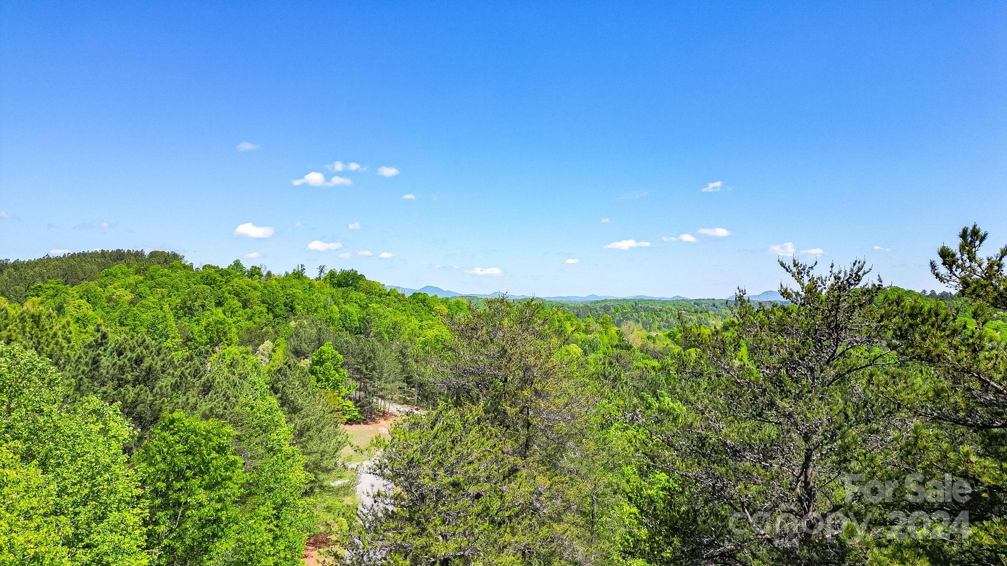 Lot at 0 W T Wilkins Road, Rutherfordton, photo 10 of 24