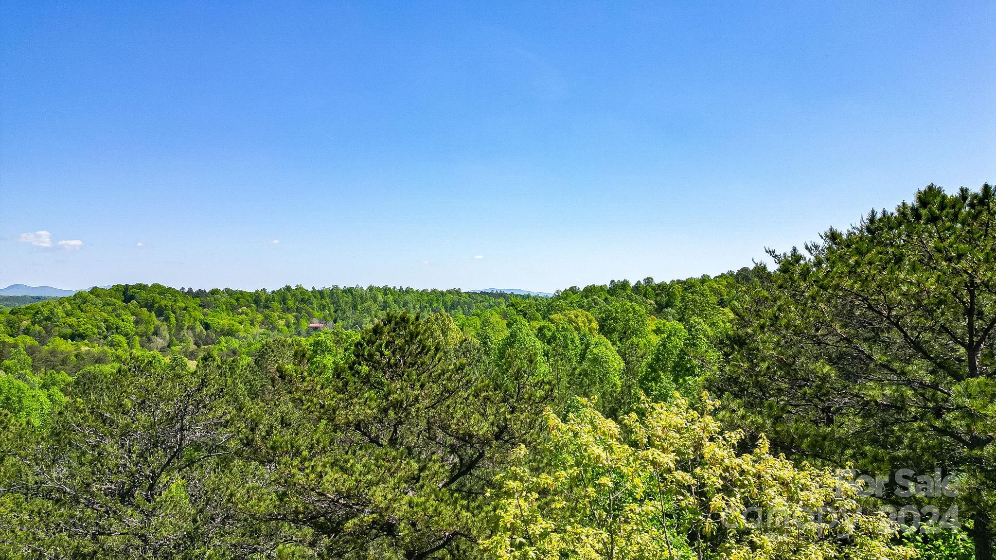 Lot at 0 W T Wilkins Road, Rutherfordton, photo 11 of 24