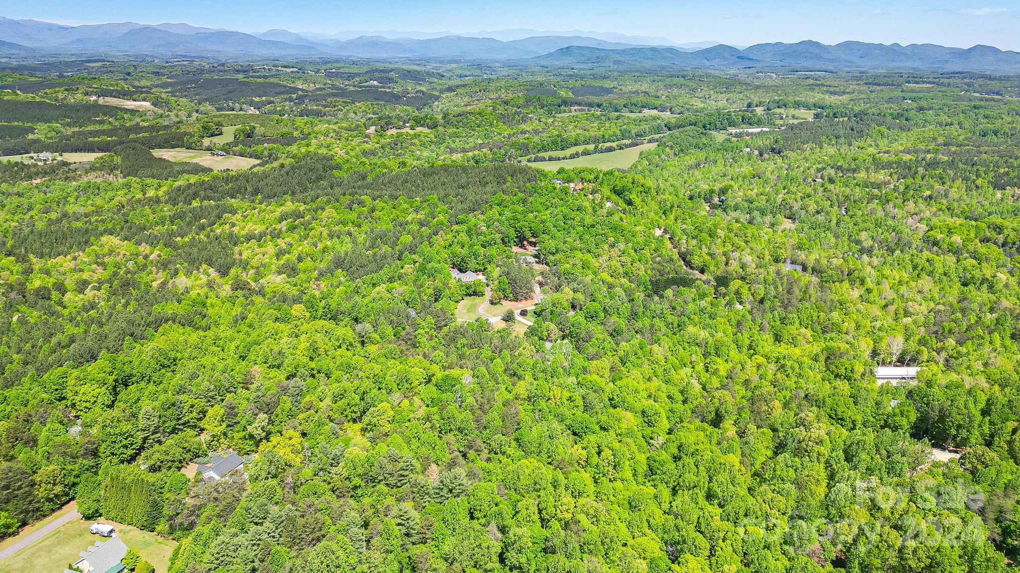 Lot at 0 W T Wilkins Road, Rutherfordton, photo 17 of 24