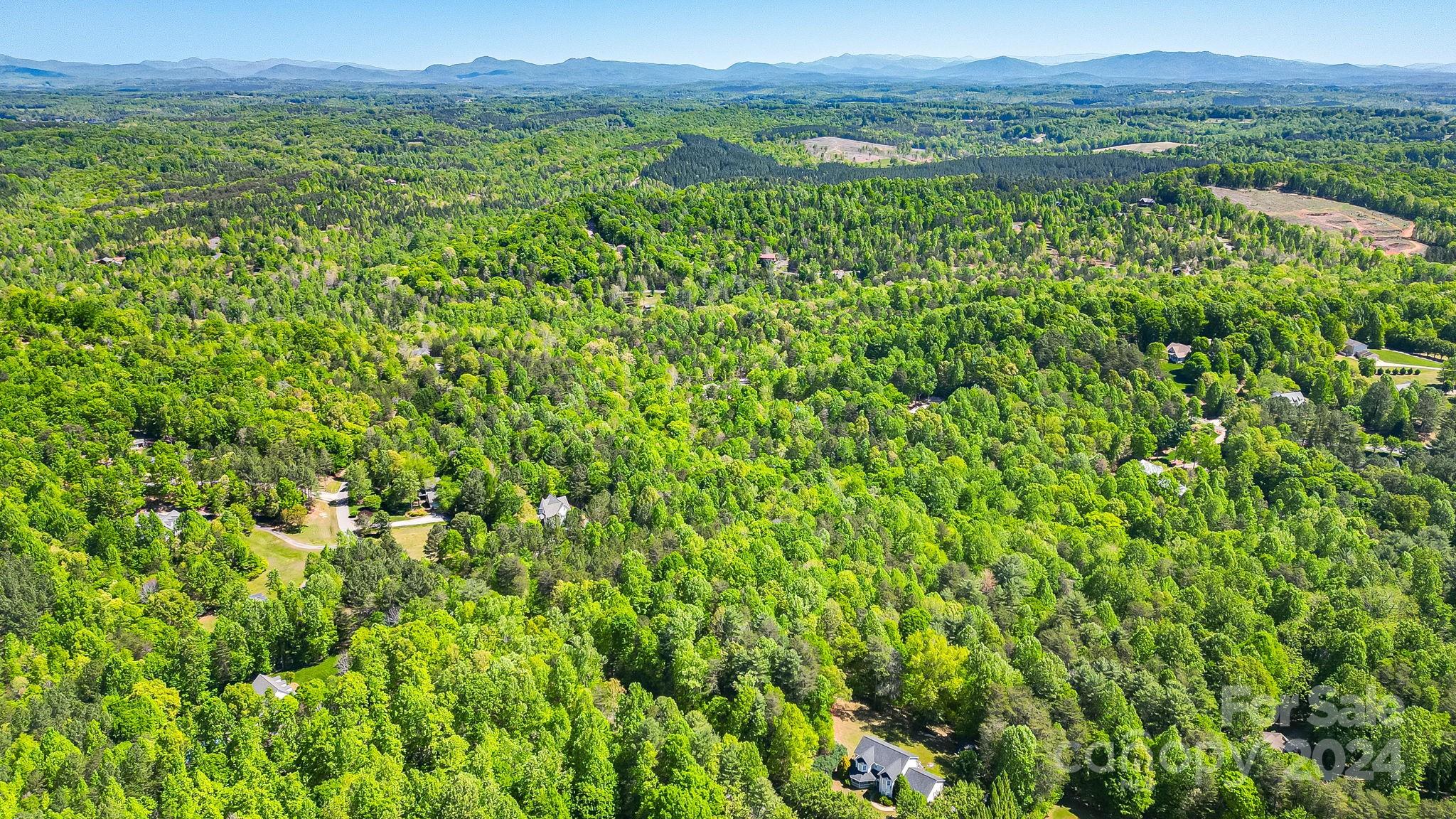 Lot at 0 W T Wilkins Road, Rutherfordton, photo 19 of 24