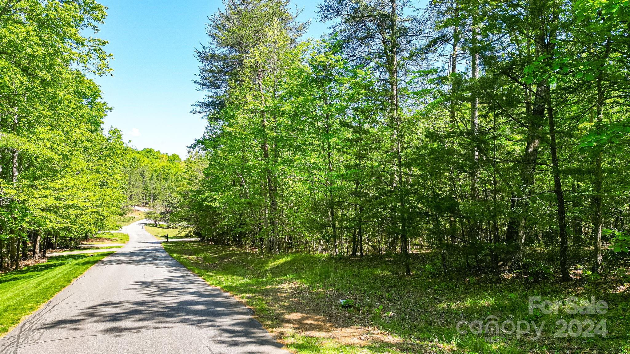 Lot at 0 W T Wilkins Road, Rutherfordton, photo 23 of 24