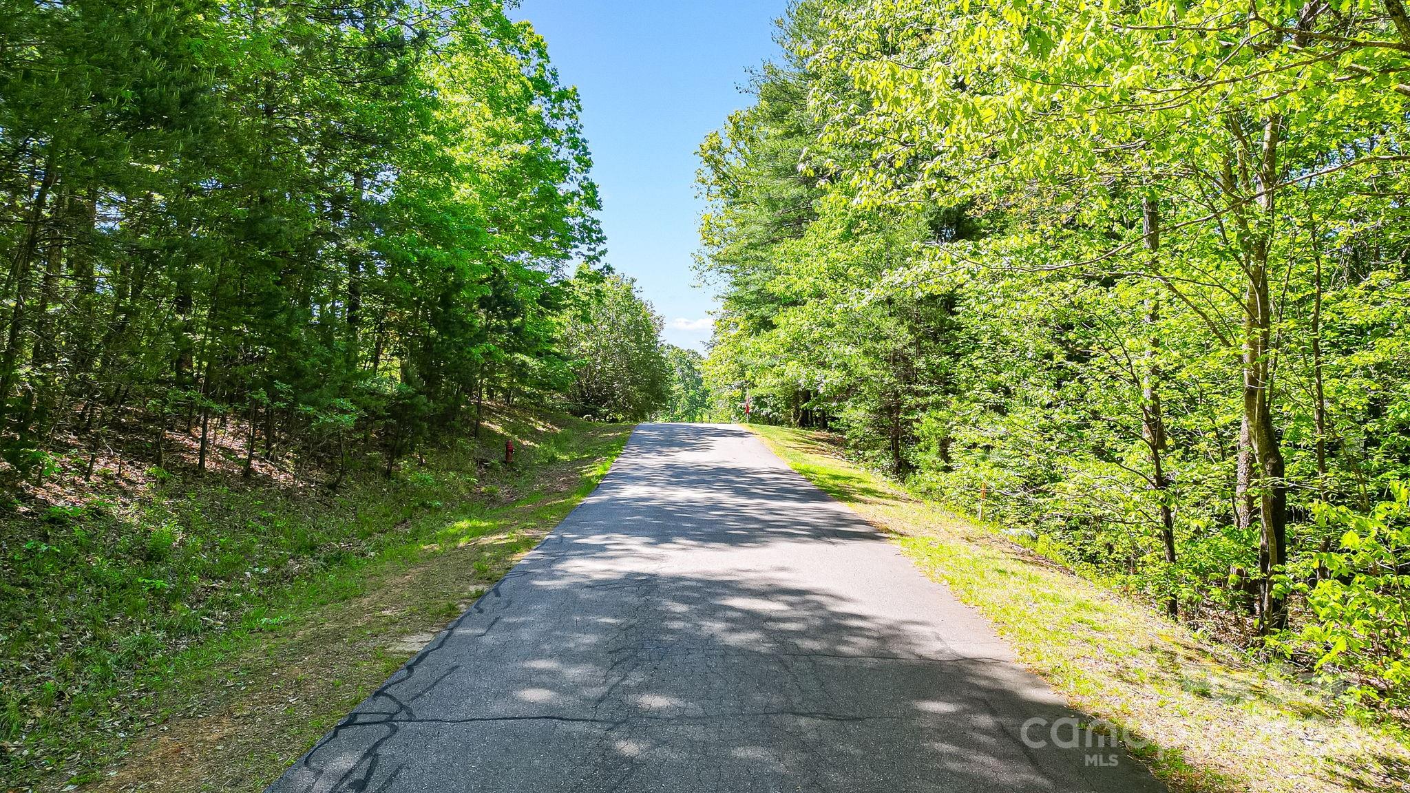Lot at 0 W T Wilkins Road, Rutherfordton, photo 24 of 24