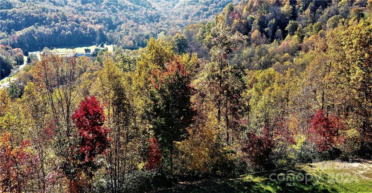 Another Drone View Photo - 115 B Campbell Mountain Drive, Waynesville