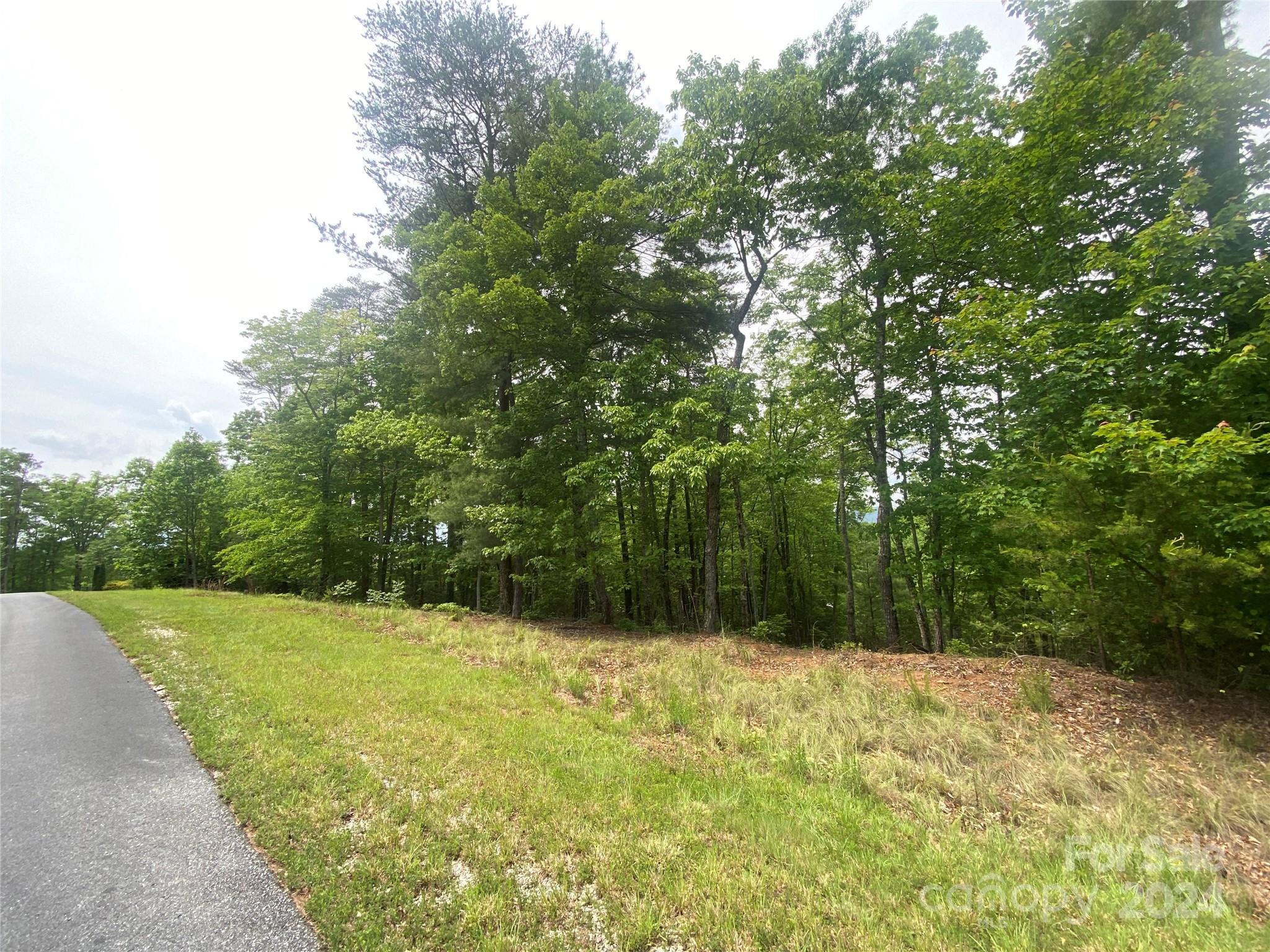 Bald Eagle Frontage... - Lot 49 Bald Eagle Lane, Marion