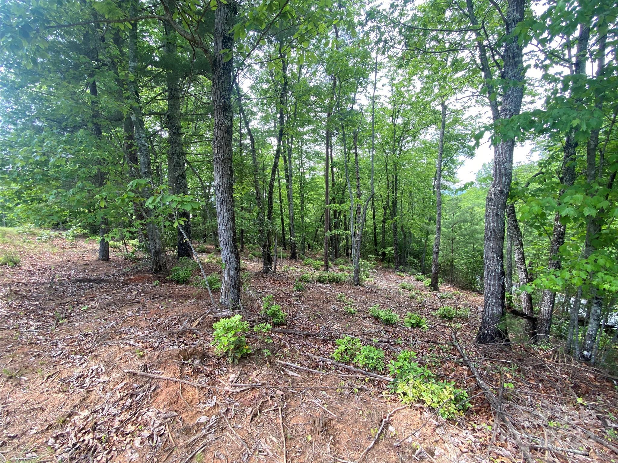 Lot at Lot 49 Bald Eagle Lane, Marion, photo 8 of 15