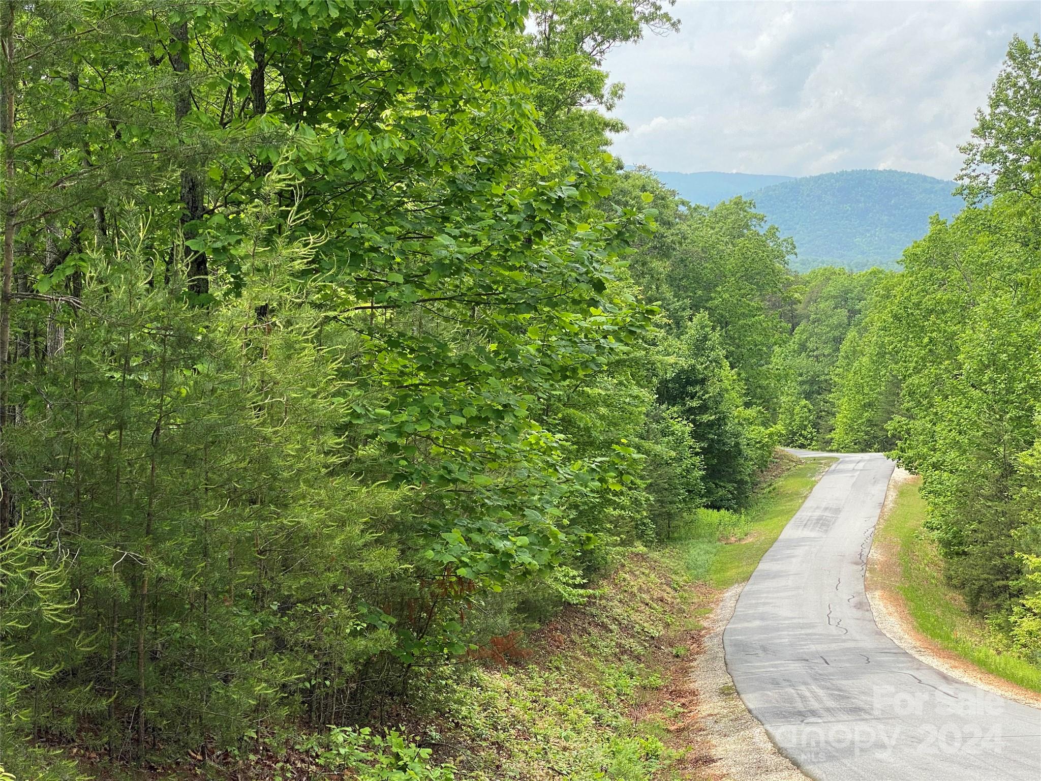 Bridgewater Rd Views & Frontage... - Lot 49 Bald Eagle Lane, Marion