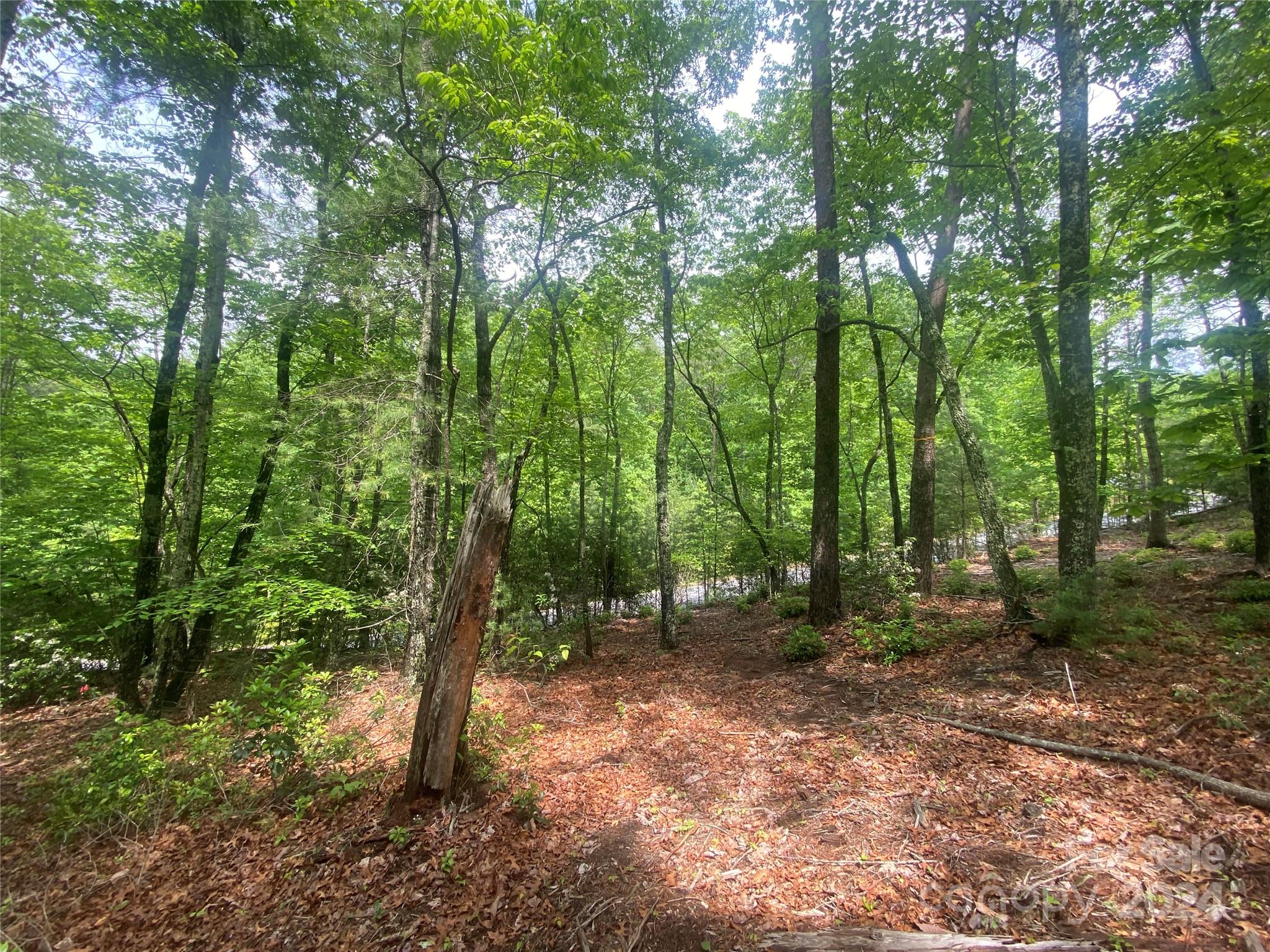 Lot at Lot 49 Bald Eagle Lane, Marion, photo 11 of 15