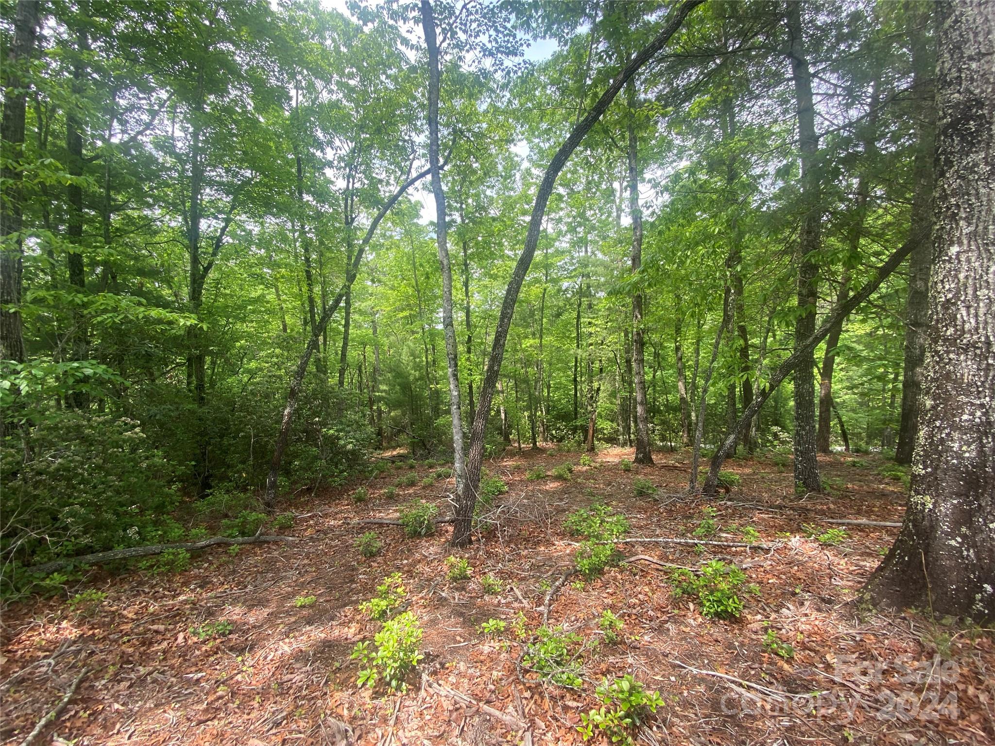 Lot at Lot 49 Bald Eagle Lane, Marion, photo 12 of 15