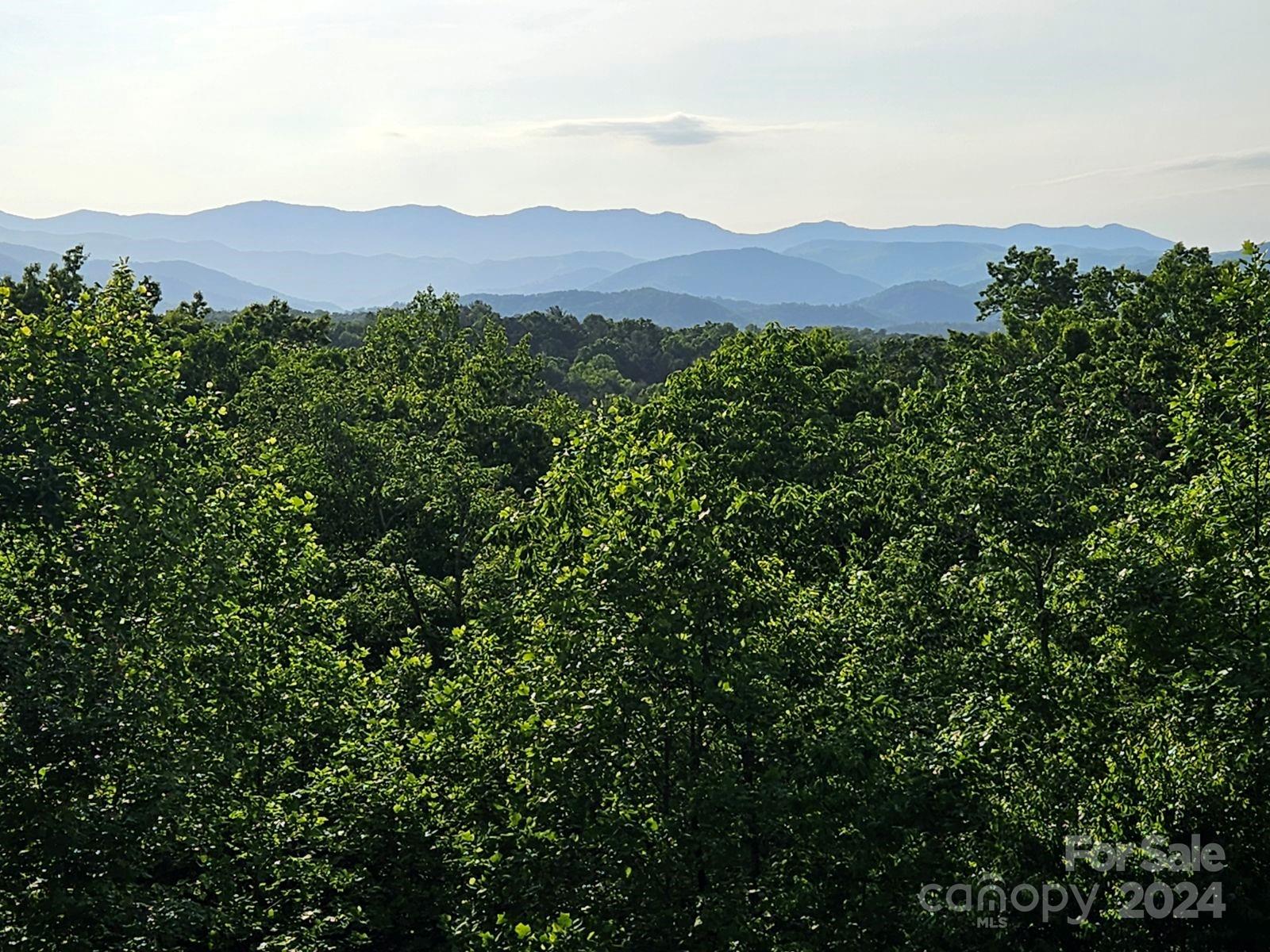 NOT A DRONE SHOT! THIS IS FROM NEIGHBOR'S DECK! - Lot 49 Bald Eagle Lane, Marion