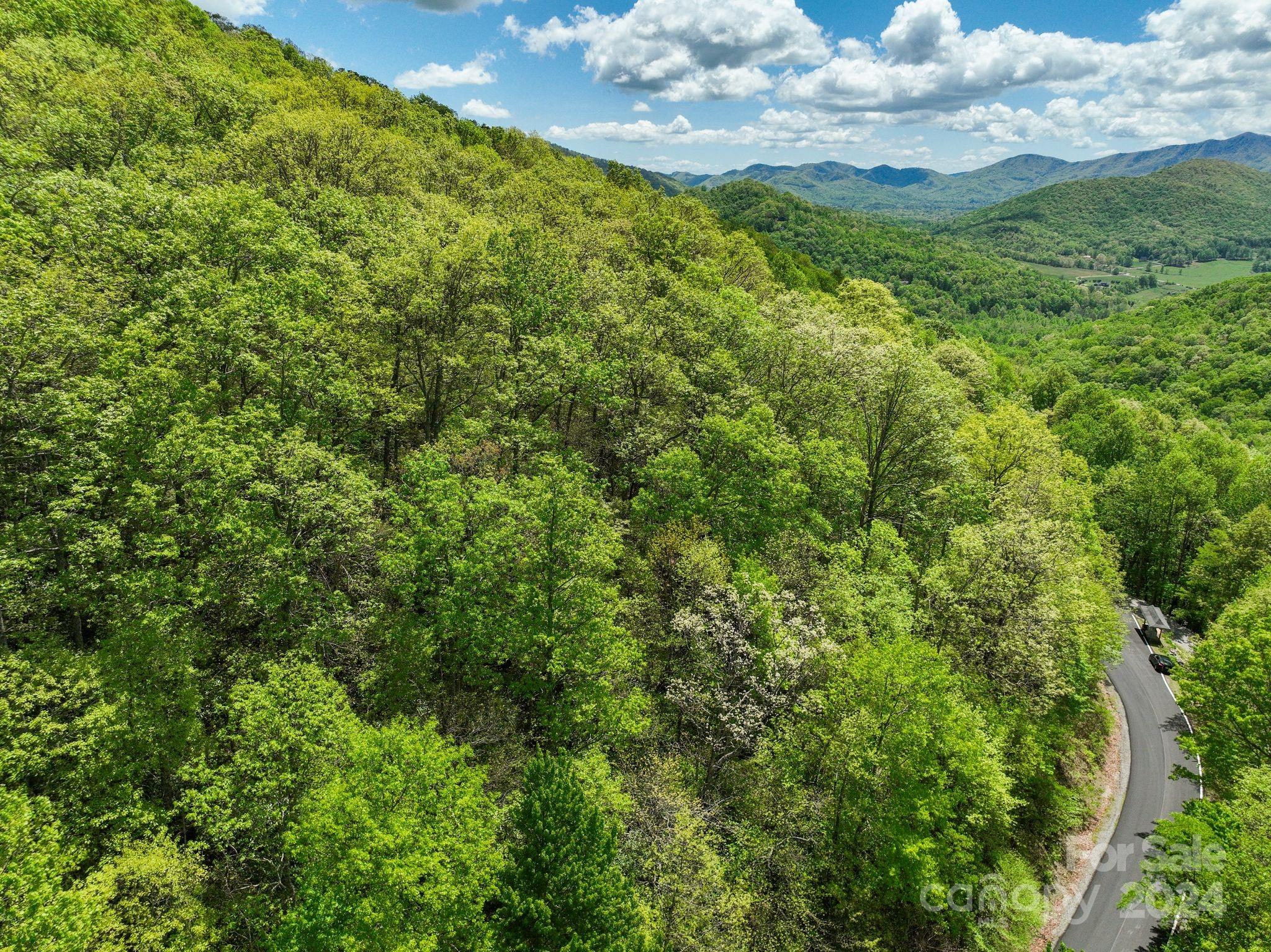 Come build your dream mountain home on this gorgeous lot in gated Laurel Ridge! - 99999 Winding Poplar Road, Black Mountain