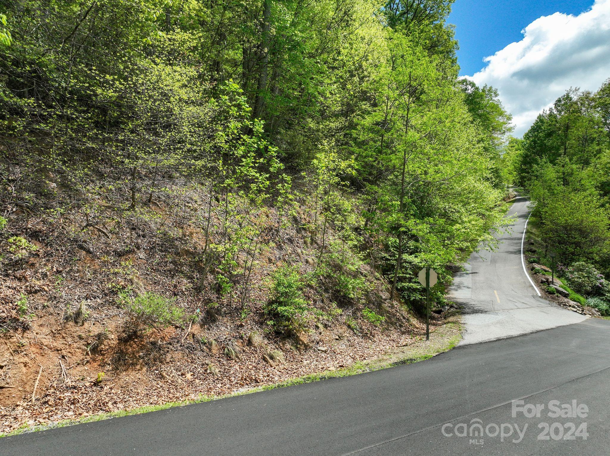 A view of the lot from the road. - 99999 Winding Poplar Road, Black Mountain