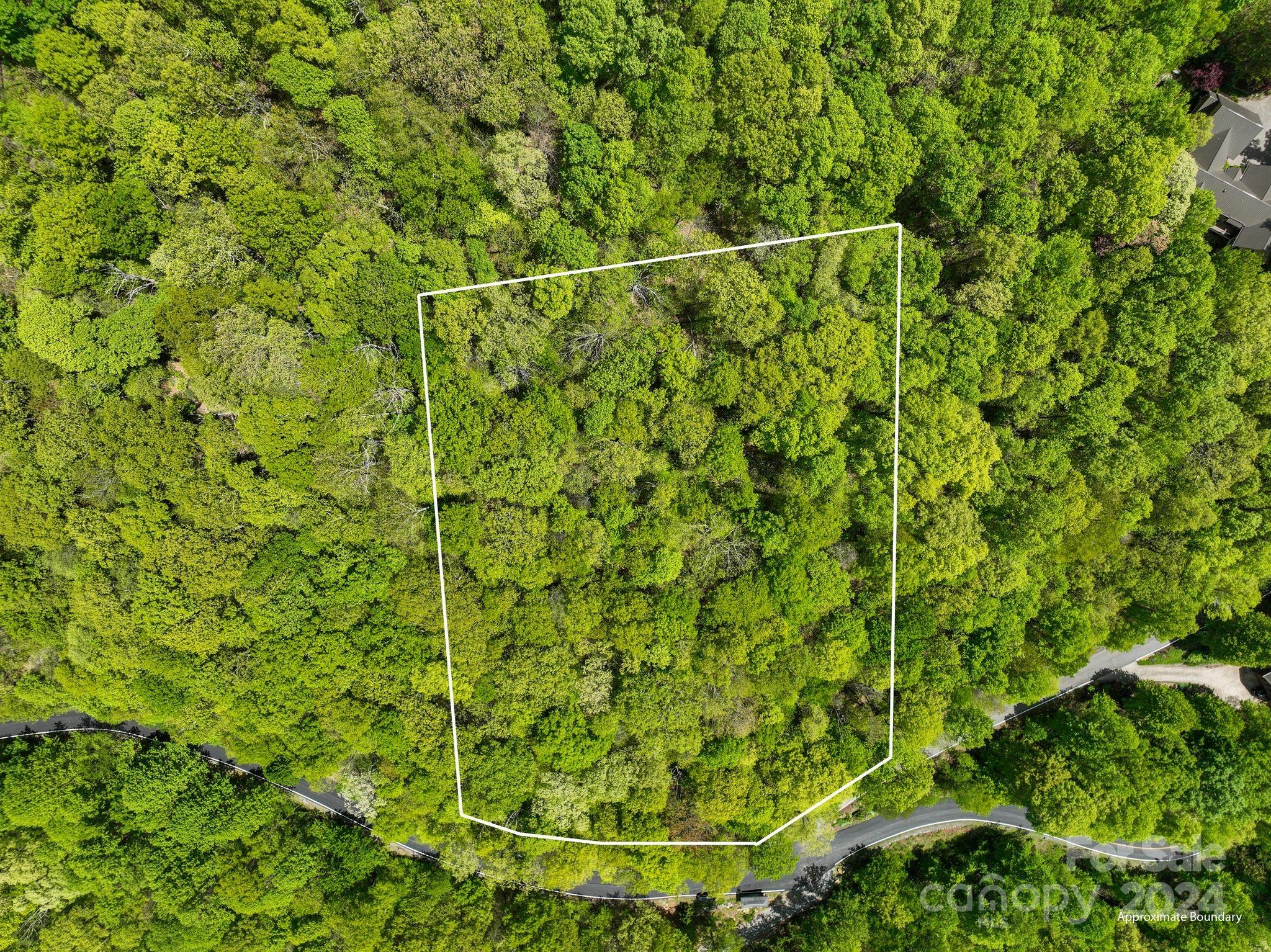 An overhead view of the lot's GIS. - 99999 Winding Poplar Road, Black Mountain