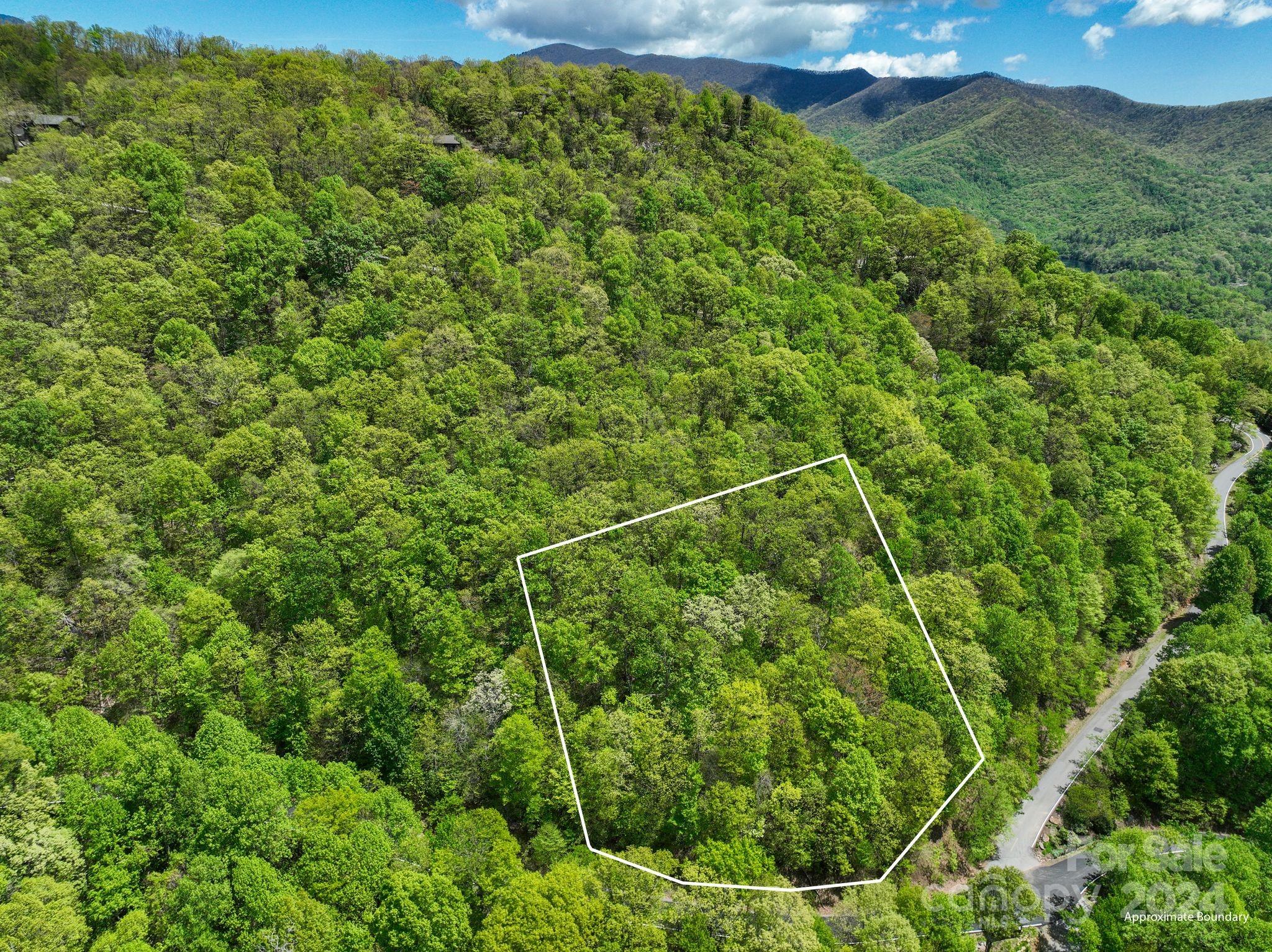 Another GIS outline of the lot. - 99999 Winding Poplar Road, Black Mountain