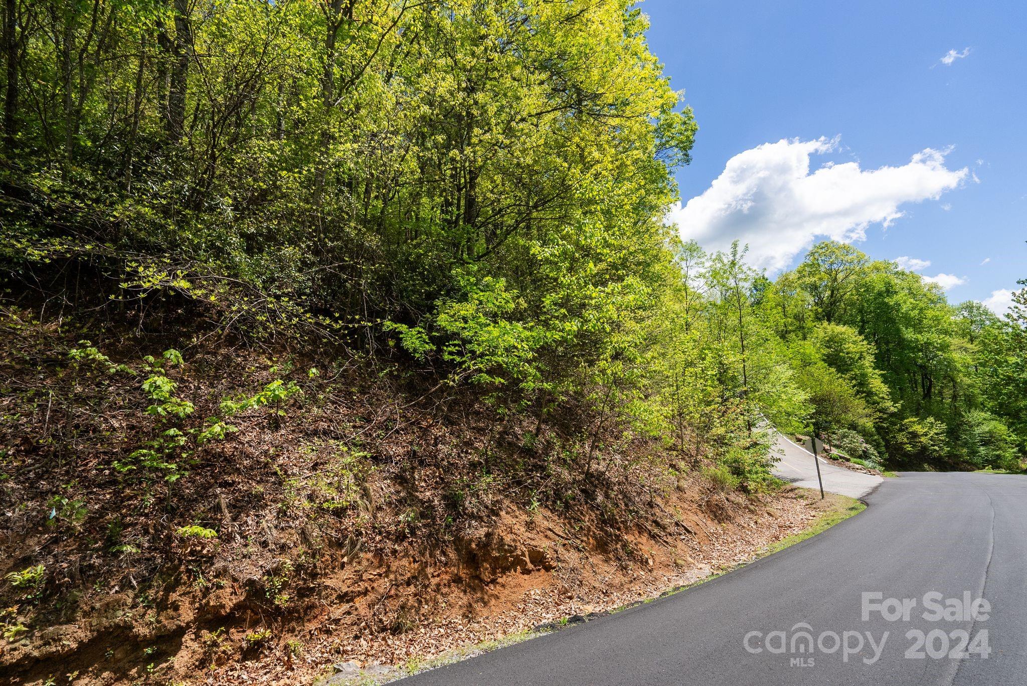 Another view ofd the lot from the road. - 99999 Winding Poplar Road, Black Mountain