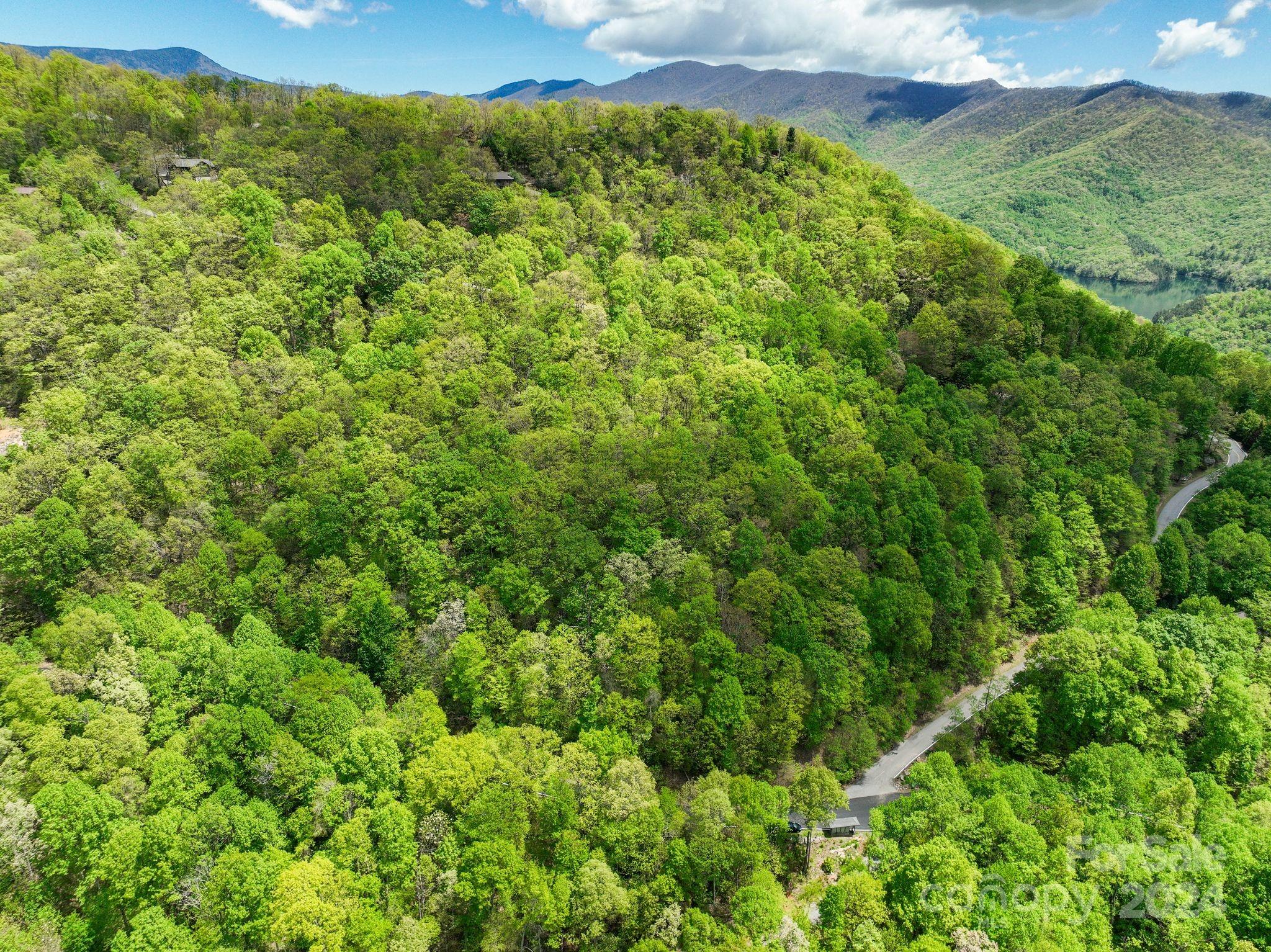 Laurel Ridge backs up to the Burnett Reservior, where the City of Asheville gets its water. The Laurel Ridge Property Owners' Association purchases this water and stores it in tanks around the community for residents' use. - 99999 Winding Poplar Road, Black Mountain