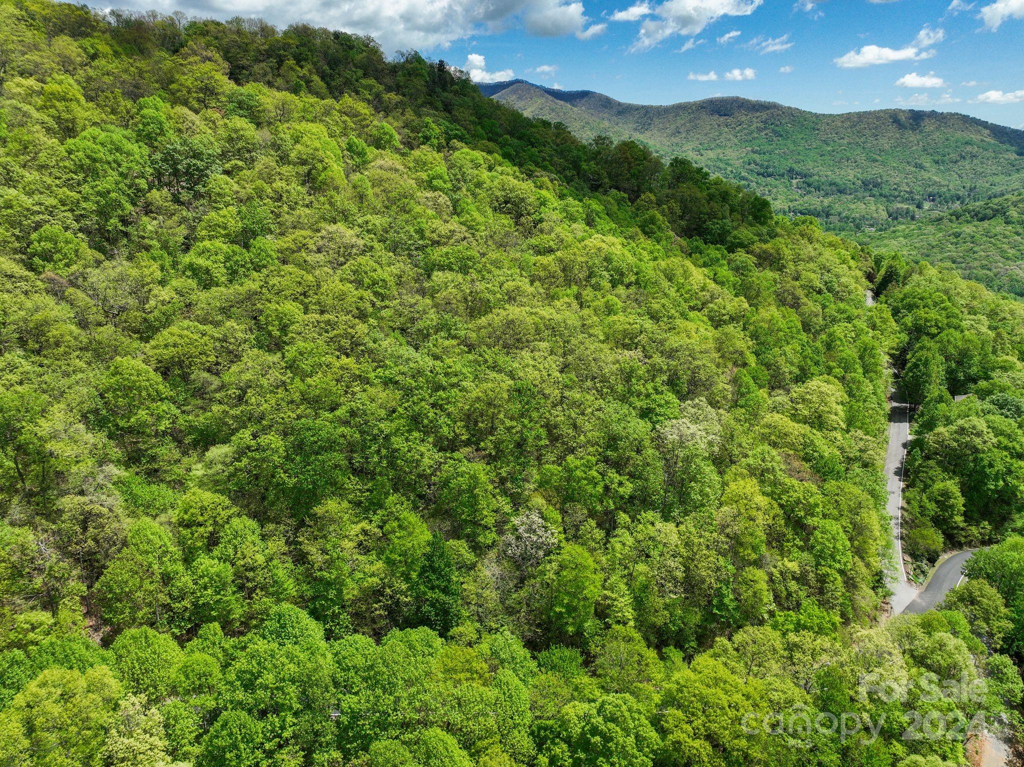 An overhead side view of the lot. - 99999 Winding Poplar Road, Black Mountain