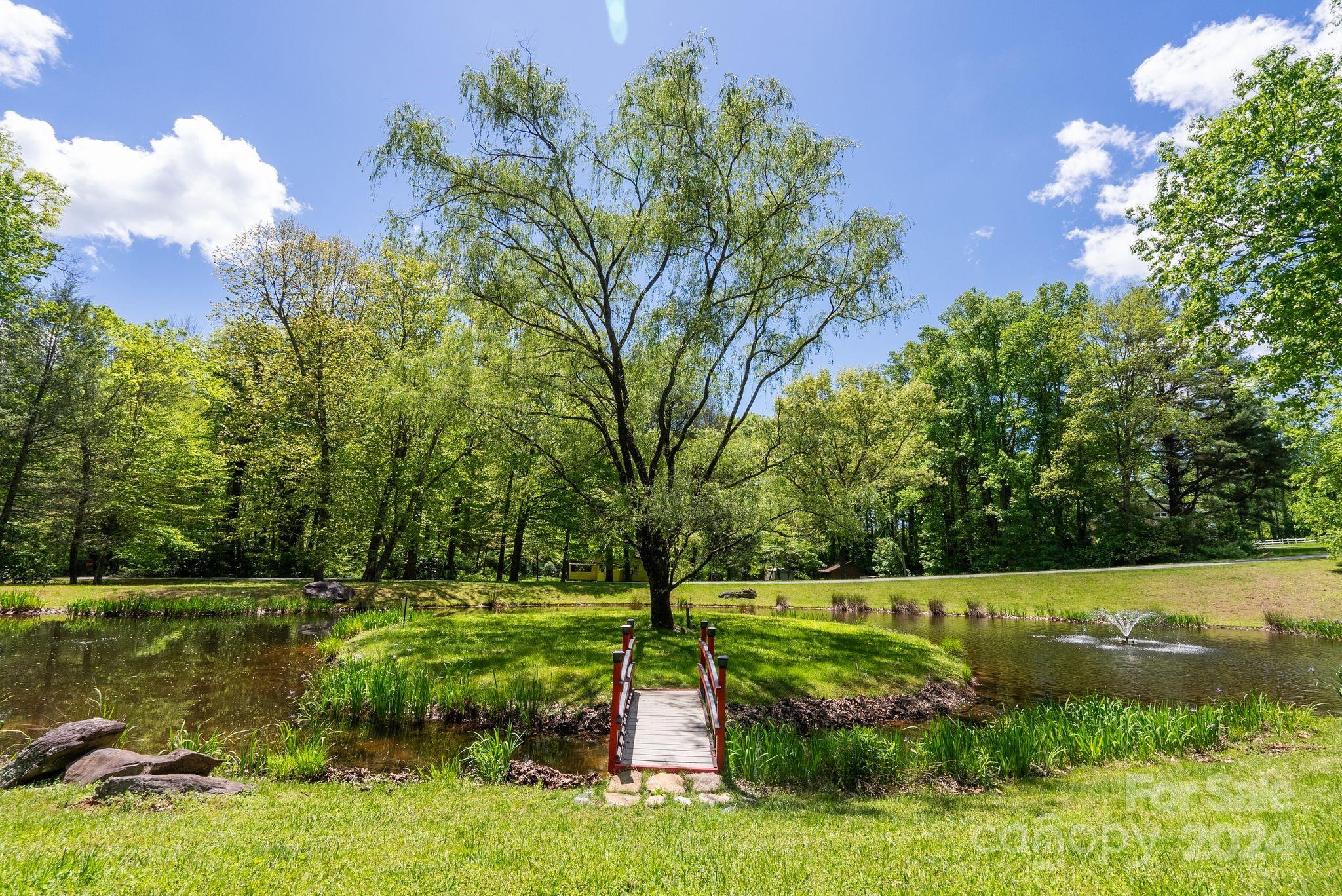 Another look at the island in the pond. - 99999 Winding Poplar Road, Black Mountain