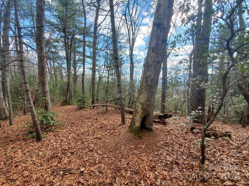 Lot at 00 Elkins Road, Bakersville, photo 3 of 38
