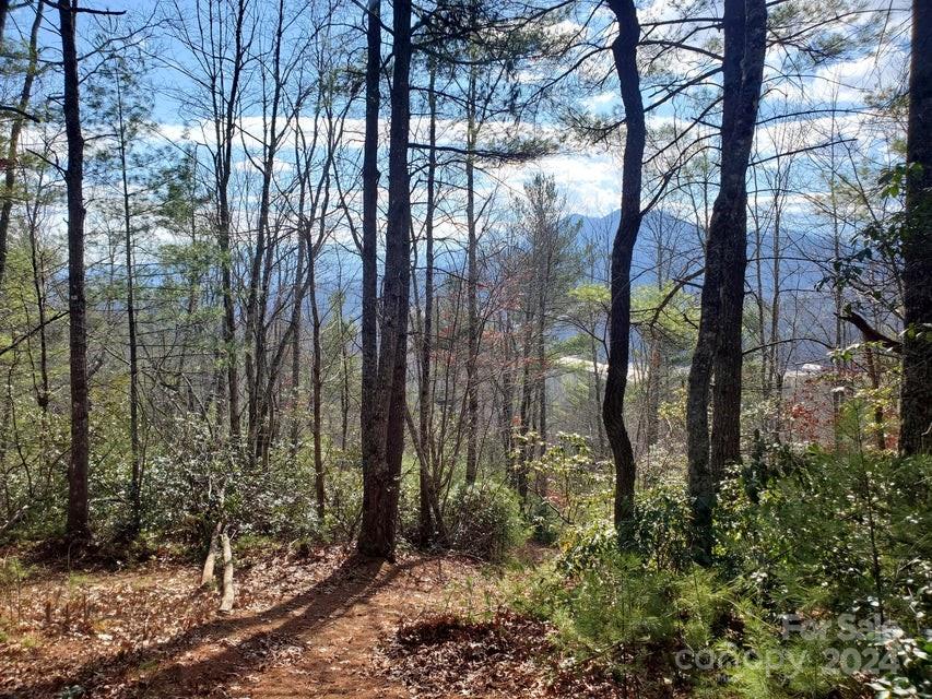 Lot at 00 Elkins Road, Bakersville, photo 4 of 38