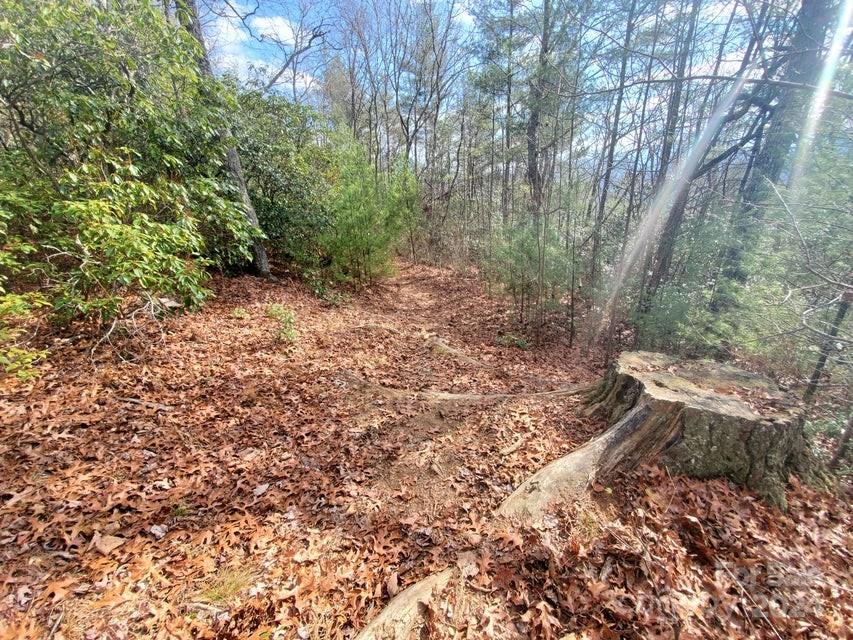 Lot at 00 Elkins Road, Bakersville, photo 7 of 38