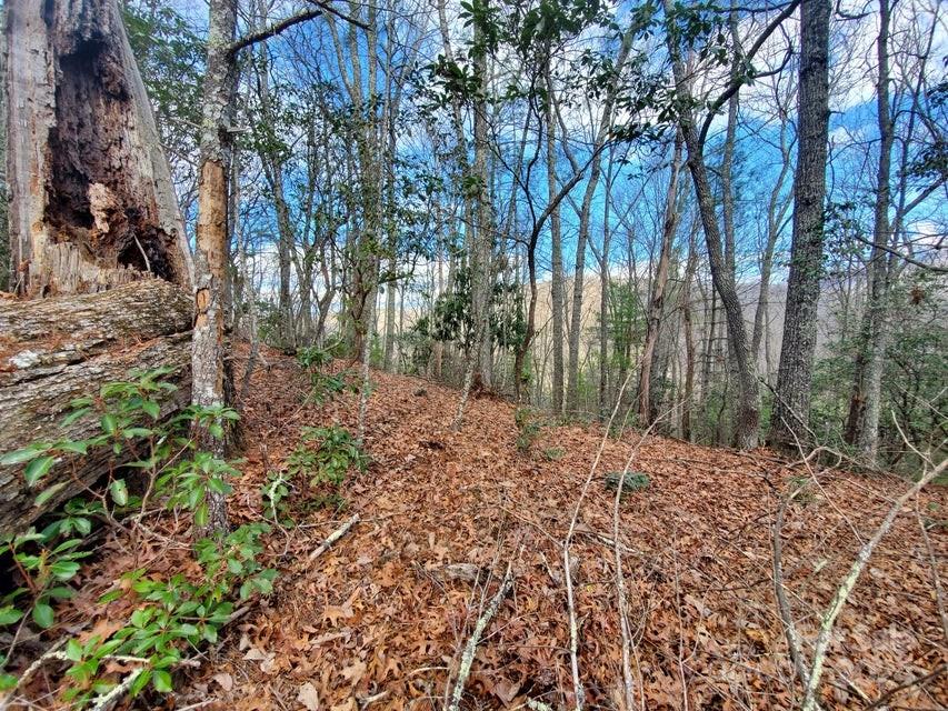 Lot at 00 Elkins Road, Bakersville, photo 8 of 38
