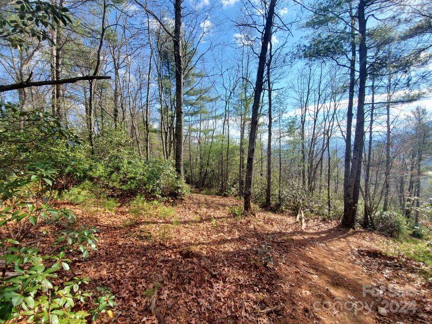 Lot at 00 Elkins Road, Bakersville, photo 9 of 38