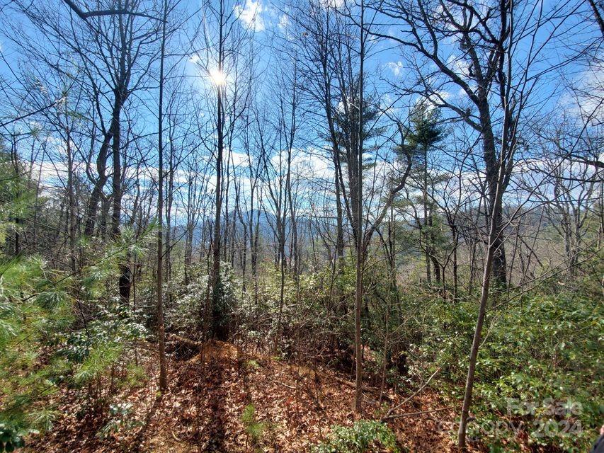 Lot at 00 Elkins Road, Bakersville, photo 14 of 38