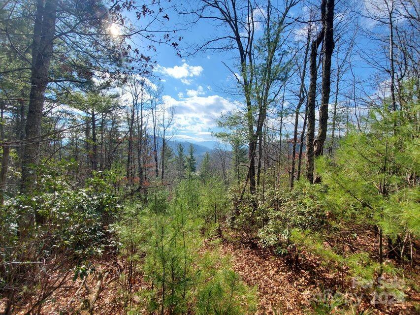 Lot at 00 Elkins Road, Bakersville, photo 17 of 38