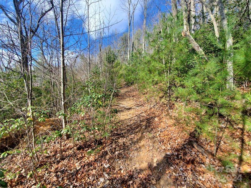 Lot at 00 Elkins Road, Bakersville, photo 18 of 38