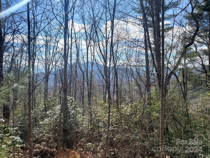 Lot at 00 Elkins Road, Bakersville, photo 19 of 38