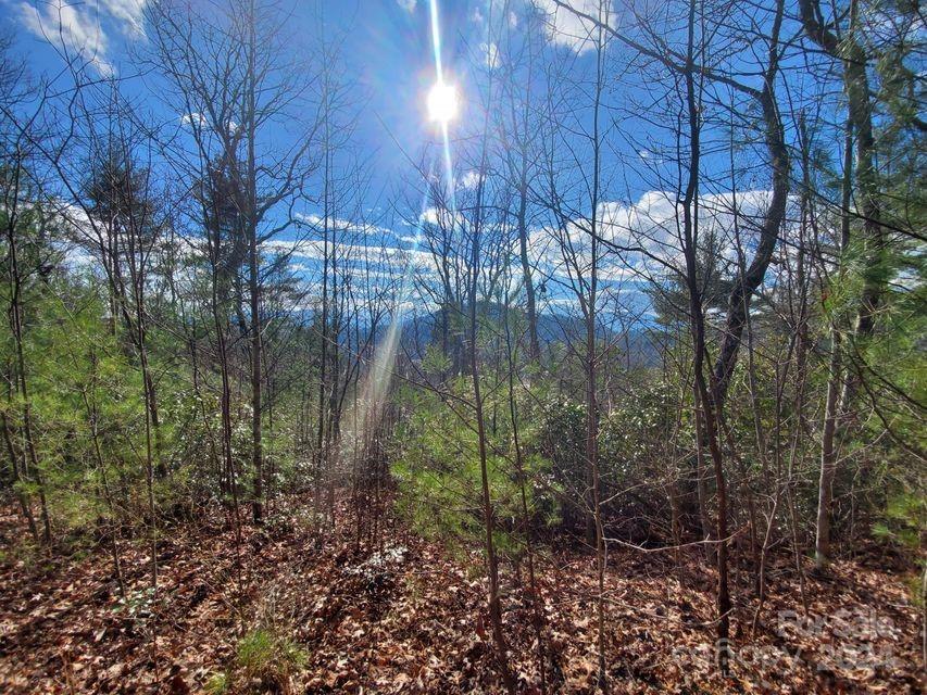 Lot at 00 Elkins Road, Bakersville, photo 20 of 38