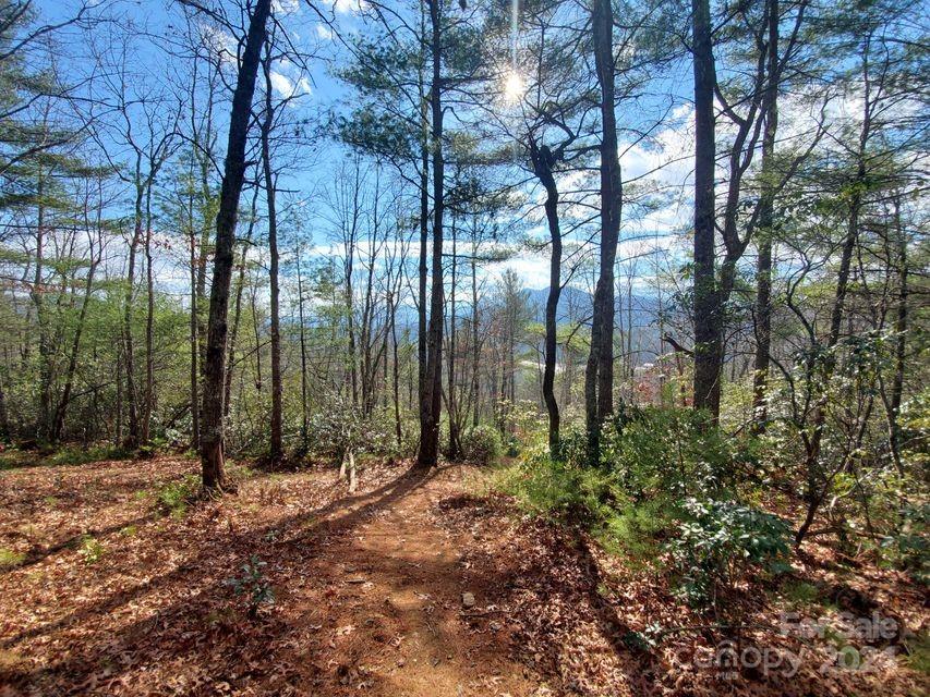 Lot at 00 Elkins Road, Bakersville, photo 21 of 38