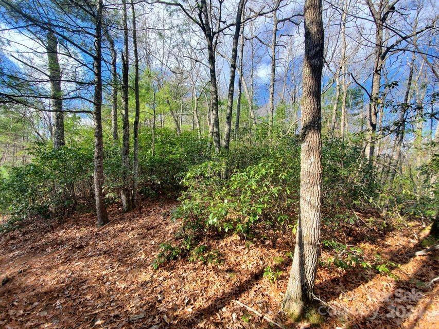 Lot at 00 Elkins Road, Bakersville, photo 22 of 38