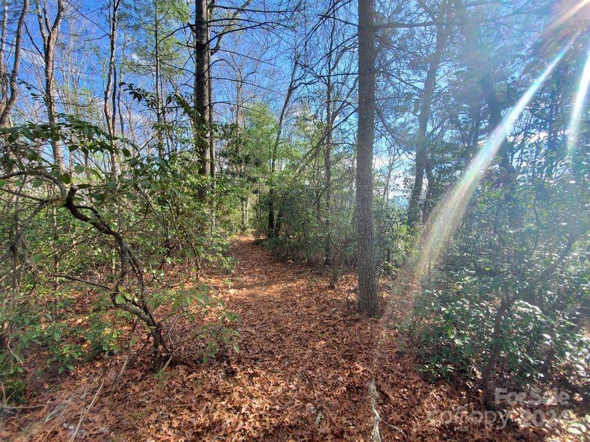 Lot at 00 Elkins Road, Bakersville, photo 23 of 38