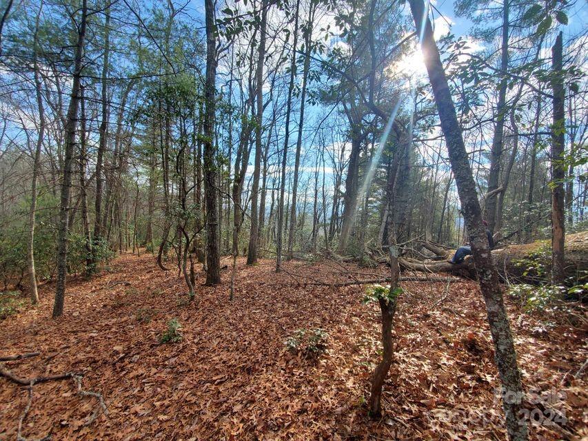 Lot at 00 Elkins Road, Bakersville, photo 24 of 38