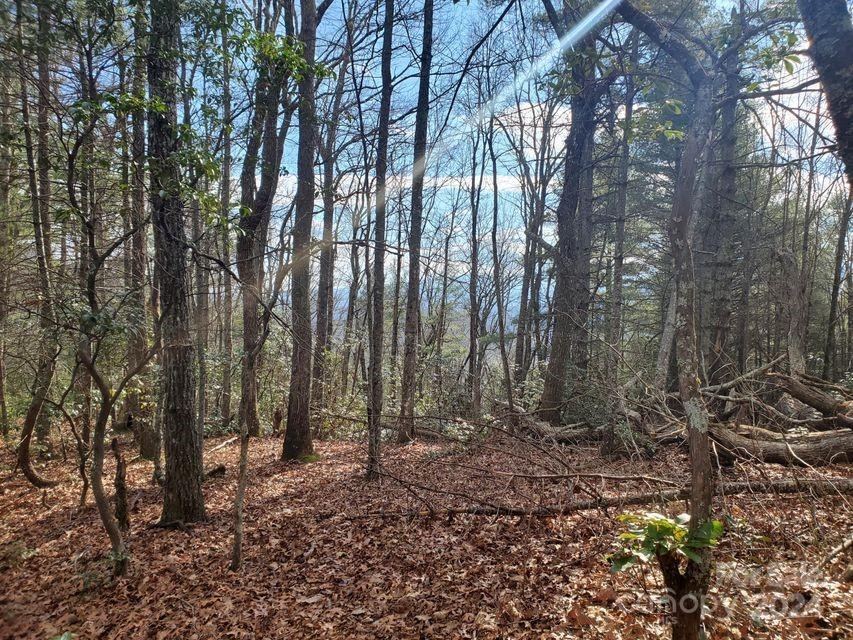 Lot at 00 Elkins Road, Bakersville, photo 25 of 38