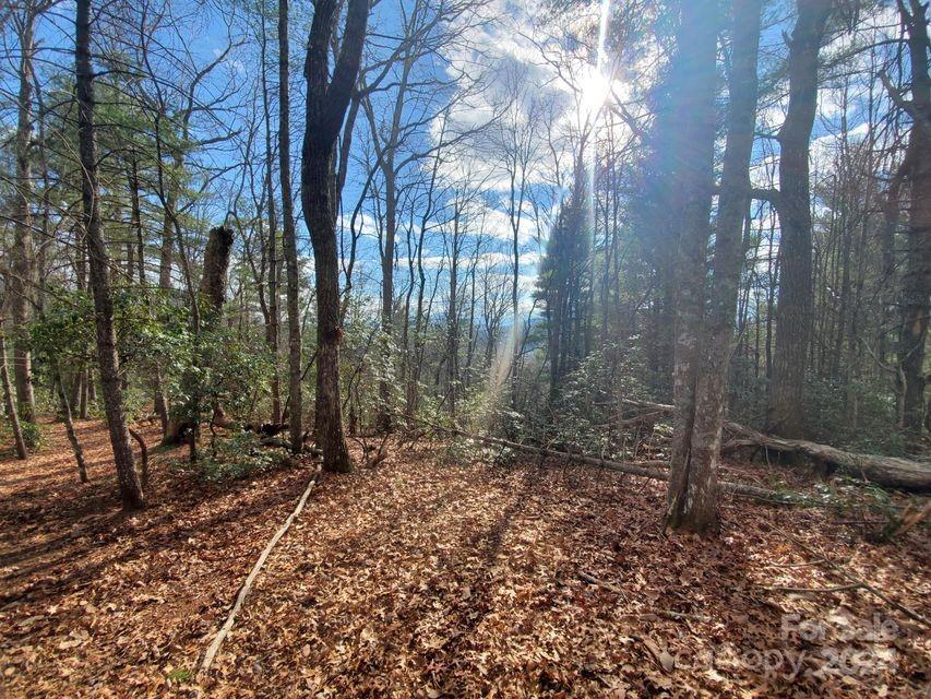 Lot at 00 Elkins Road, Bakersville, photo 27 of 38