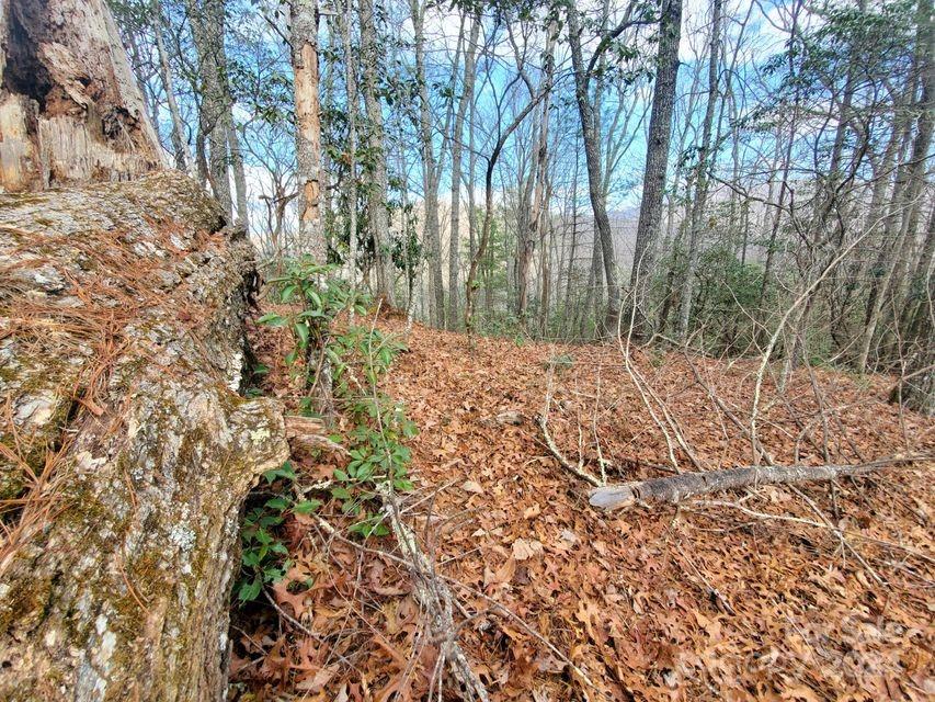 Lot at 00 Elkins Road, Bakersville, photo 28 of 38