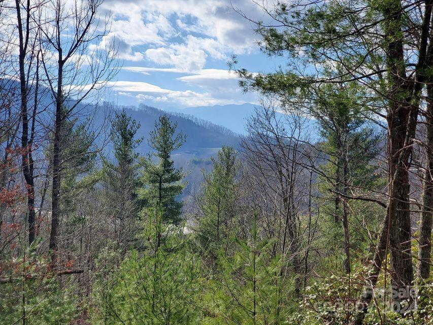 Lot at 00 Elkins Road, Bakersville, photo 32 of 38